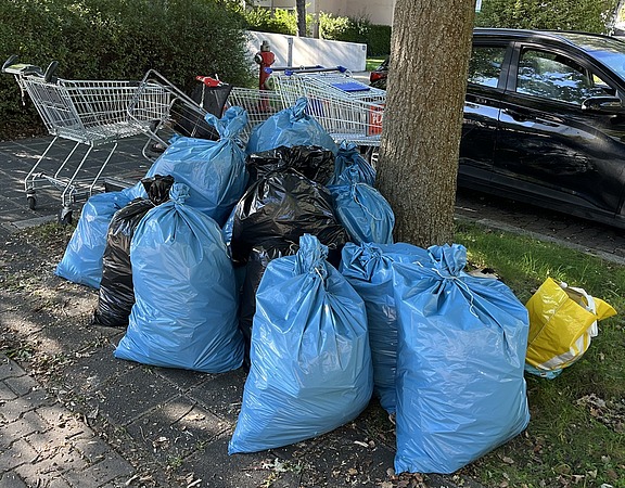 Mehrere blaue Müllsäcke stehen gesammelt unter einem Baum, daneben liegen weitere abgelegte Gegenstände im Freien.
